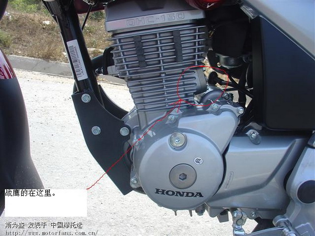 请教:是否链条机都有自动紧的功能 - 摩托车论