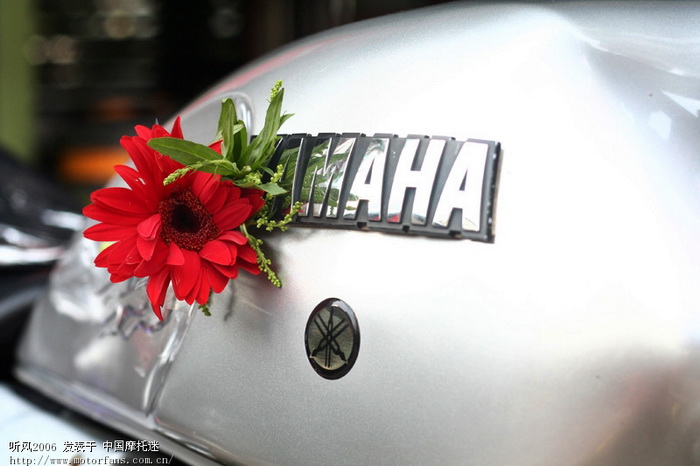 萍乡车友结婚 - 江西摩友交流区 - 摩托车论坛 -