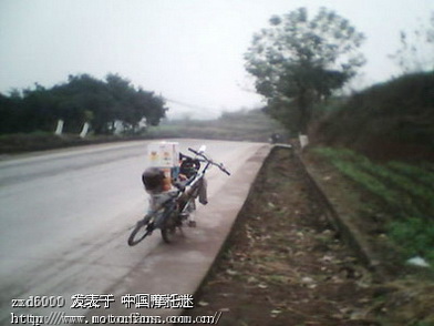 驴子坏了 都是我惹的祸哈 带回来一年了 行驶不