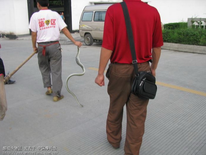 他到死之前都后悔没遇上青蛙!现在没有机会了