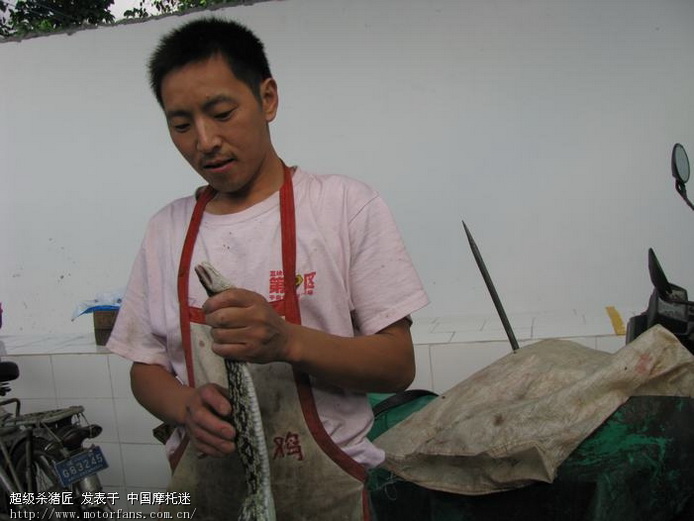 他到死之前都后悔没遇上青蛙!现在没有机会了