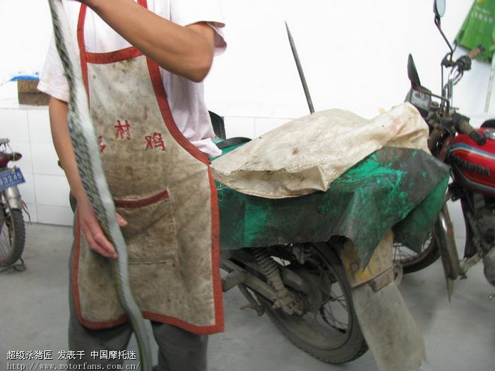 他到死之前都后悔没遇上青蛙!现在没有机会了