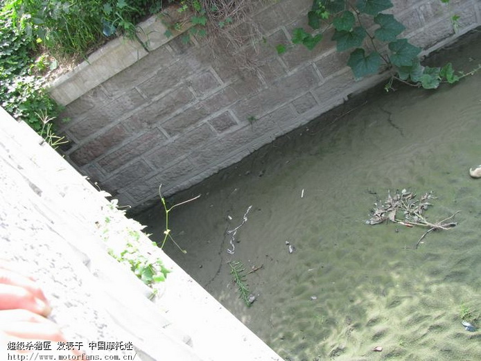 他到死之前都后悔没遇上青蛙!现在没有机会了