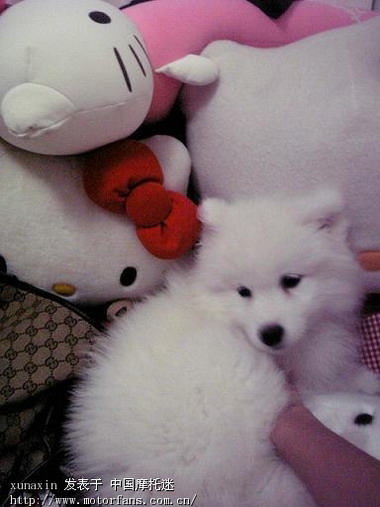 北斗星摩友 活动一揽表(个人建议) - 湖南摩友交