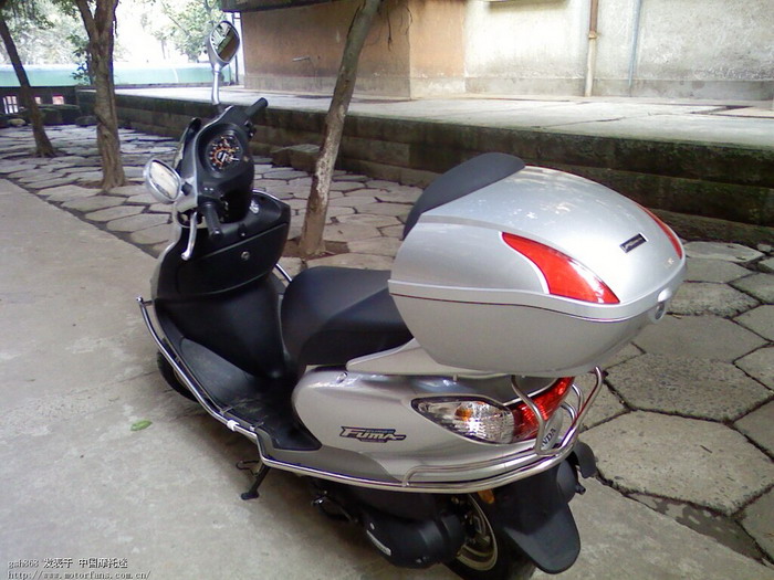 我昨刚买的本田飞梦125发PP了 - 踏板论坛 - 新