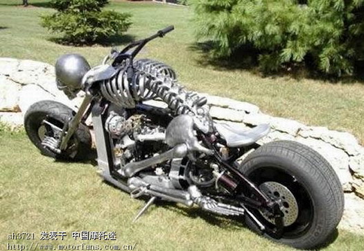 进来的先保证身边没有儿童再看,哈雷算什么本