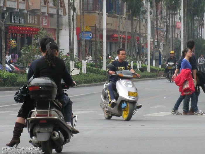 GX∑骑踏板的路人 - 踏板论坛 - 摩托车论坛 - 中