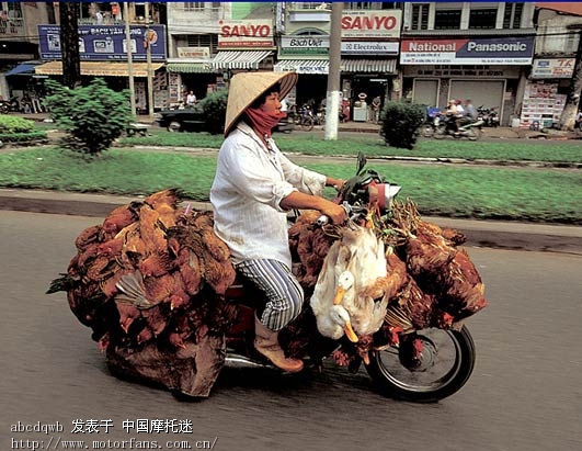 越南人口是多少_长期战乱,造成越南人口基数下降、性别比例严重失衡,部分地