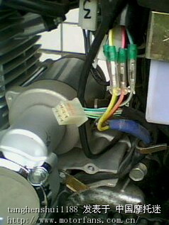 求助磁电机信号线是哪一根? - 维修改装 - 摩托