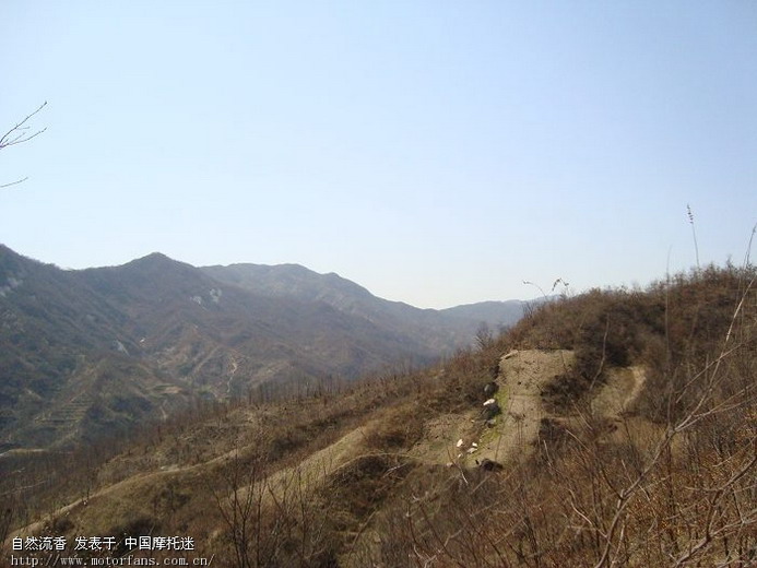 今天小跑鲁山熊背乡