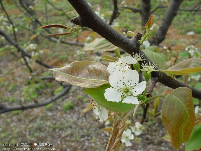 天气不错,溜车发现的好地方(新余南安-东边) - 江