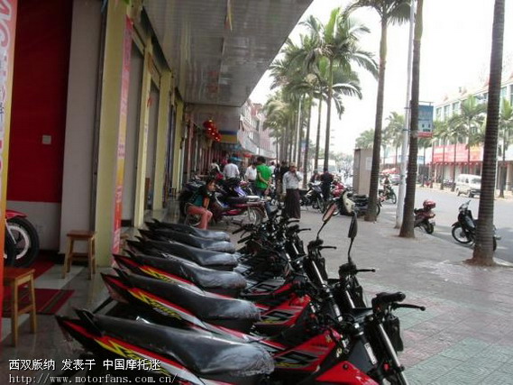 泰国本田新人妖(HONDA Sonic125) - 弯梁世界