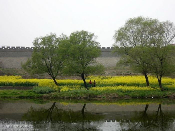 中国历史文化名城--寿县 - 安徽摩友交流区 - 摩