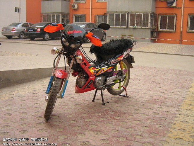 我的小弯梁!大家都叫她(人妖) - 弯梁世界 - 摩托