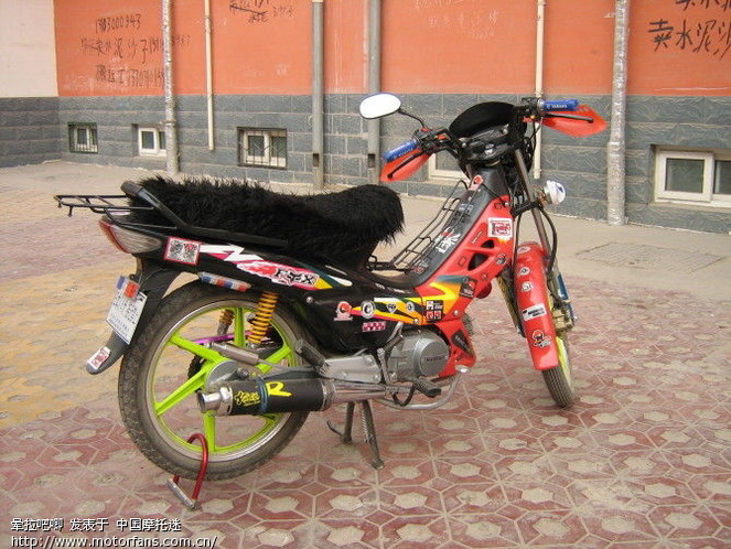 我的小弯梁!大家都叫她(人妖) - 弯梁世界 - 摩托