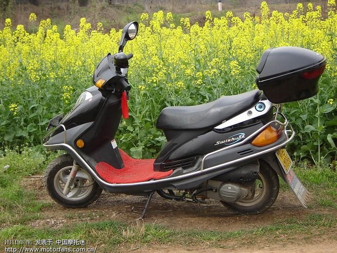 秀下我的悦星!今天第一次换机油! - 踏板论坛 -