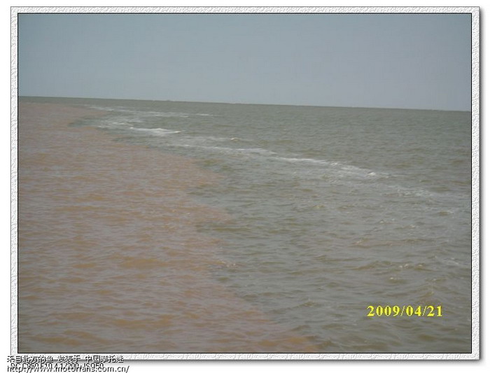 沐浴春日海风.感受射阳港. - 江苏摩友交流区 -
