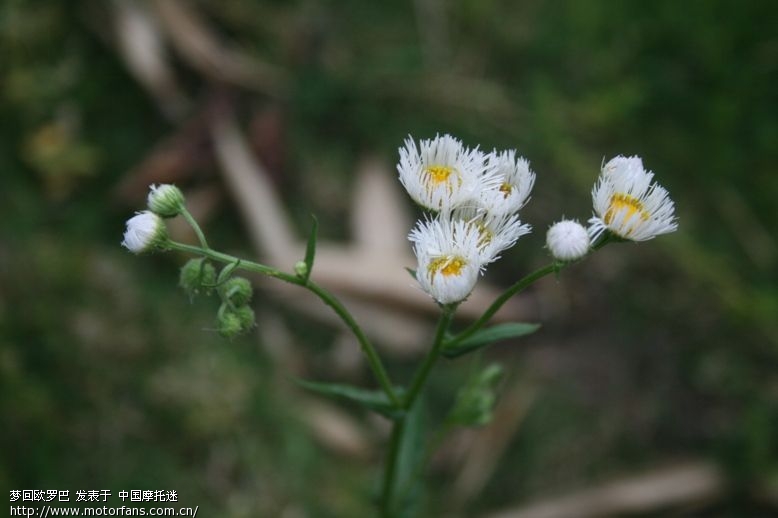 天华学院有出国交流生吗