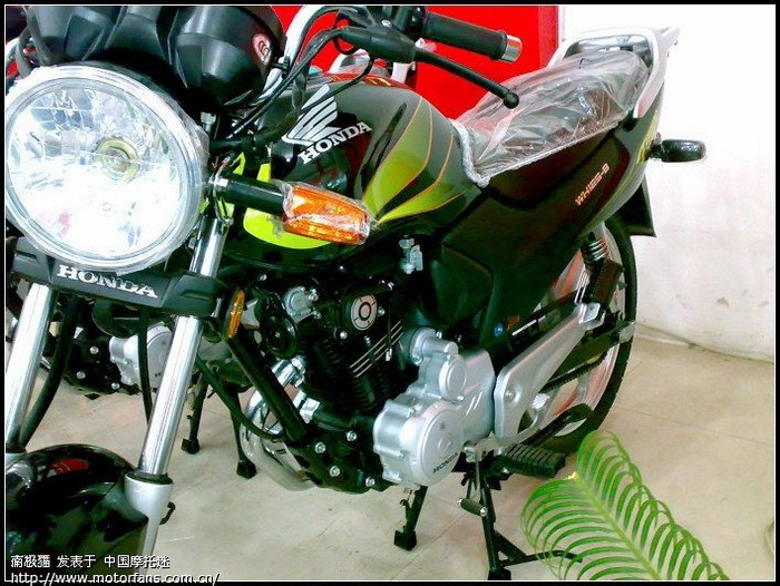 新锋翼 黑机圆灯来了 第一时间上图 - 五羊本田