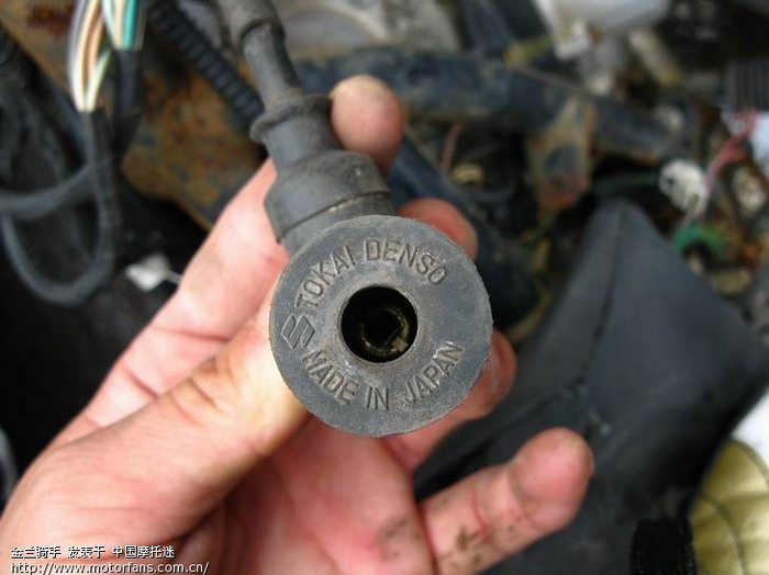 极品点火器,高压帽-可惜现在没的拆 - 摩托车论