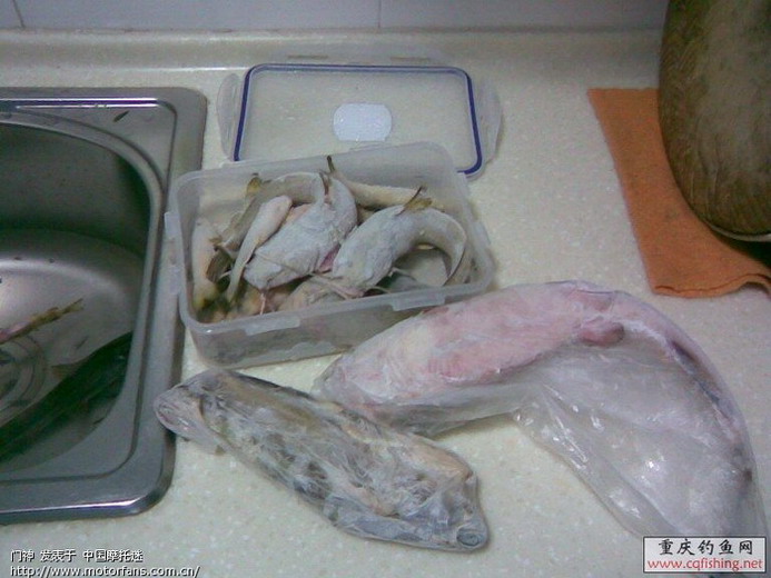 重庆江钓 - 渔友之家 - 摩托车论坛 - 中国第一摩