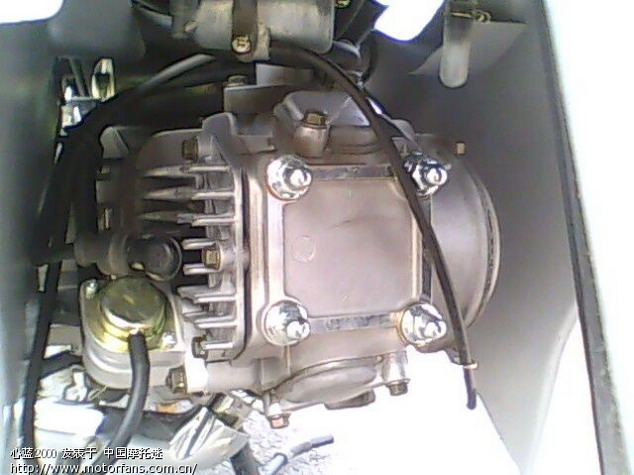 铃木 赛驰 QS110 - 弯梁世界 - 济南铃木弯梁摩