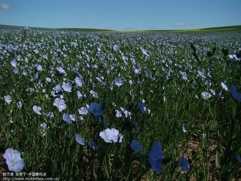 霍林郭勒[狼图腾的故乡].阿尔山 - 吉林摩友交流