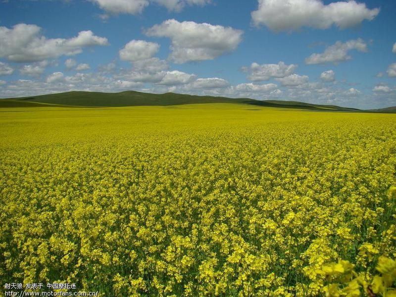 霍林郭勒[狼图腾的故乡].阿尔山 - 吉林摩友交流