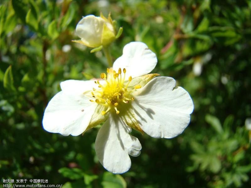 霍林郭勒[狼图腾的故乡].阿尔山 - 吉林摩友交流