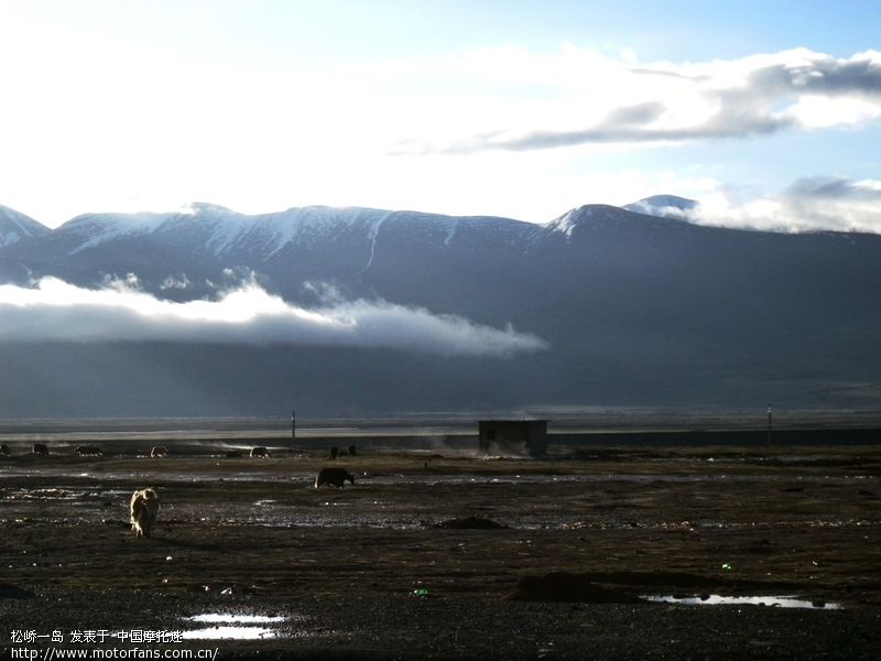 标题: 所有的故事只有一首主题歌--一切为了纵