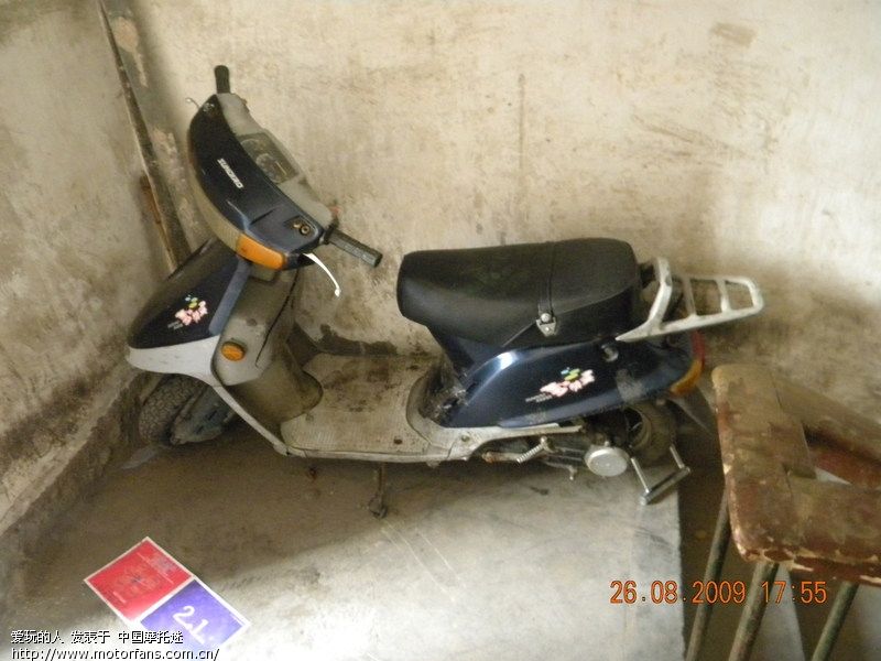 新大洲50梦精灵@轻骑50木兰 - 踏板论坛 - 新大