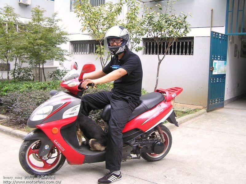 我的蓝盾150仿猎鹰和杂牌125小未战 - 踏板论