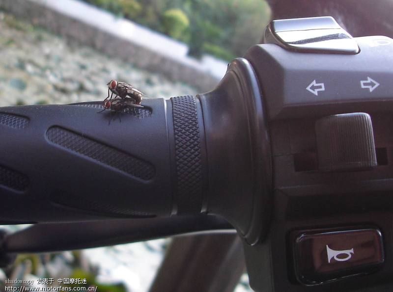 一对痴情男女居然在我的小乔上表演“车振” - 摩托车论坛 - 摩托车论坛 - 中国第一摩托车论坛 - 摩旅进行到底!