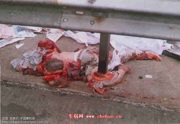 图[胆小者勿进] 不遵守交通法则的后果! - 踏板论