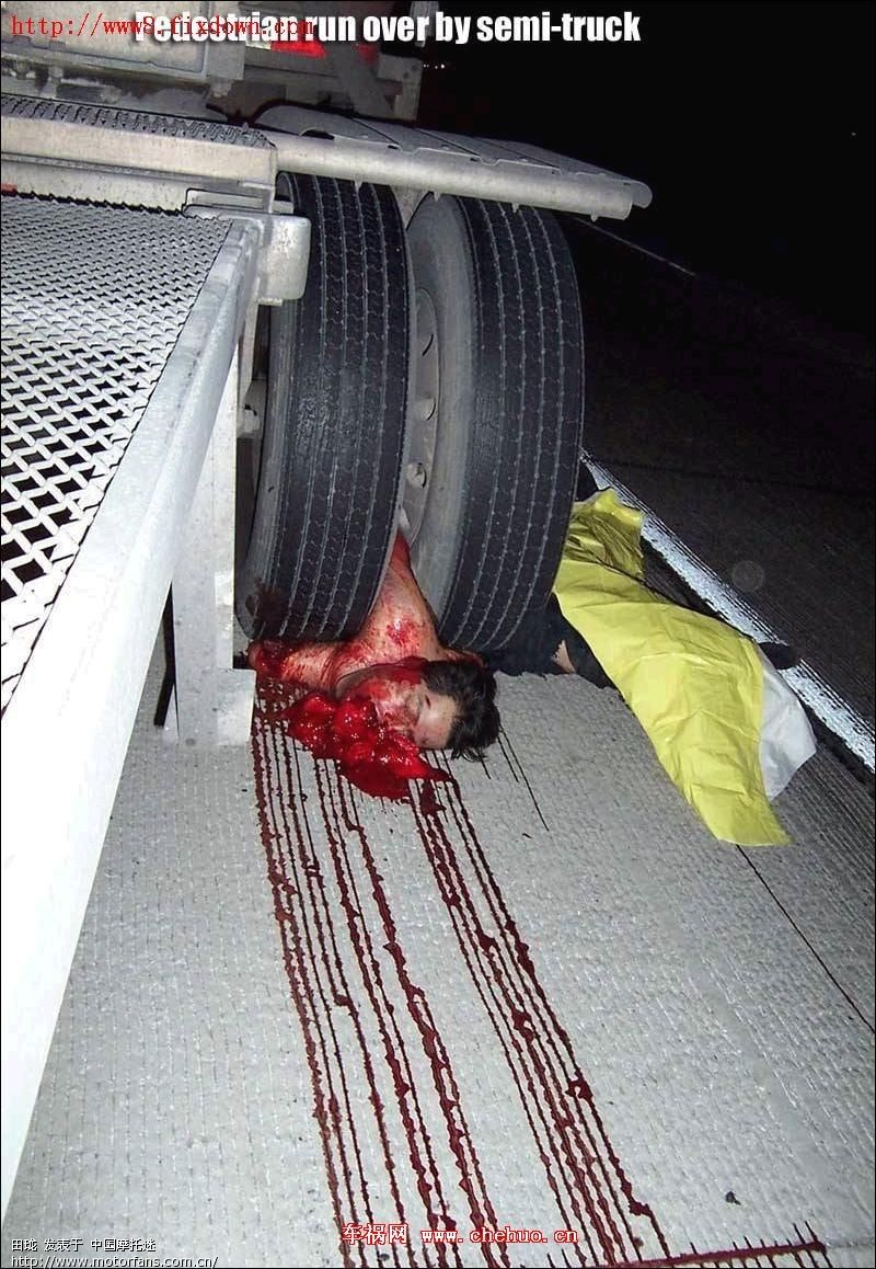 图[胆小者勿进] 不遵守交通法则的后果! - 踏板论