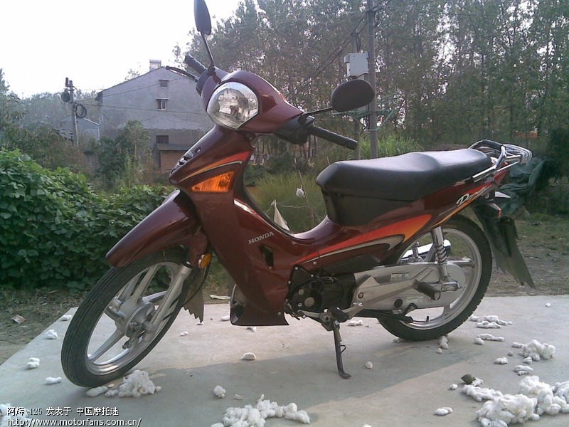 我的新概念125 上图片 越骑越舒服 - 弯梁世界 