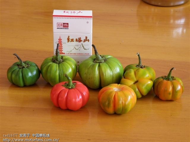 有谁知道这是什么果吗 - 摩托迷水吧 - 摩托车论