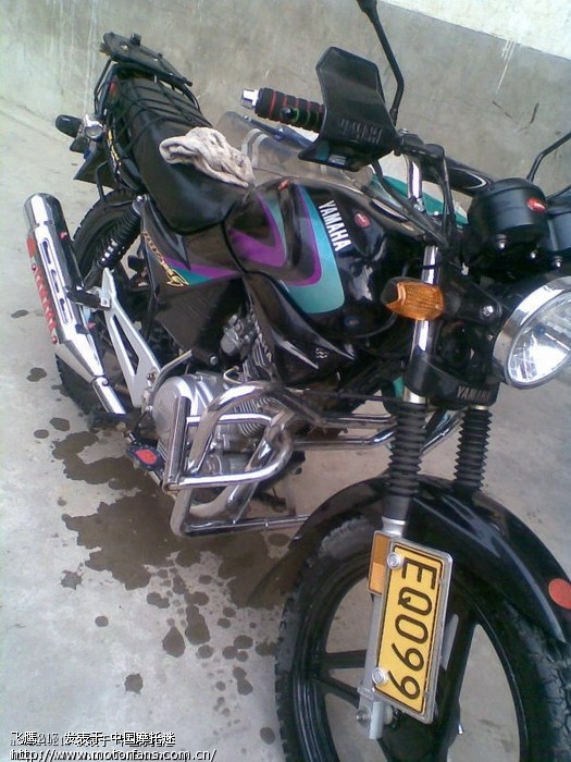 铃木GT\/GSX前轮悬挂车牌的地方有没有XD想