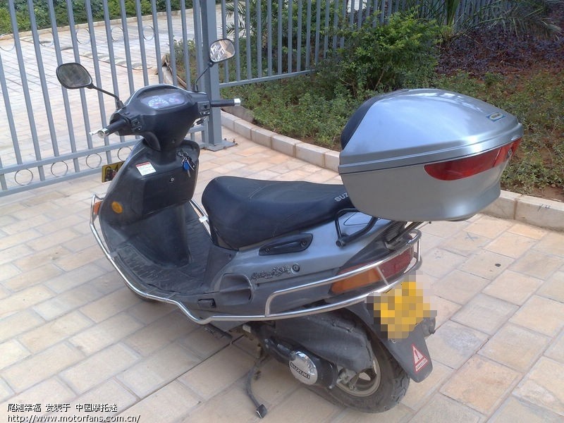 老款海王星 - 踏板论坛 - 铃木踏板摩托 - 摩托车