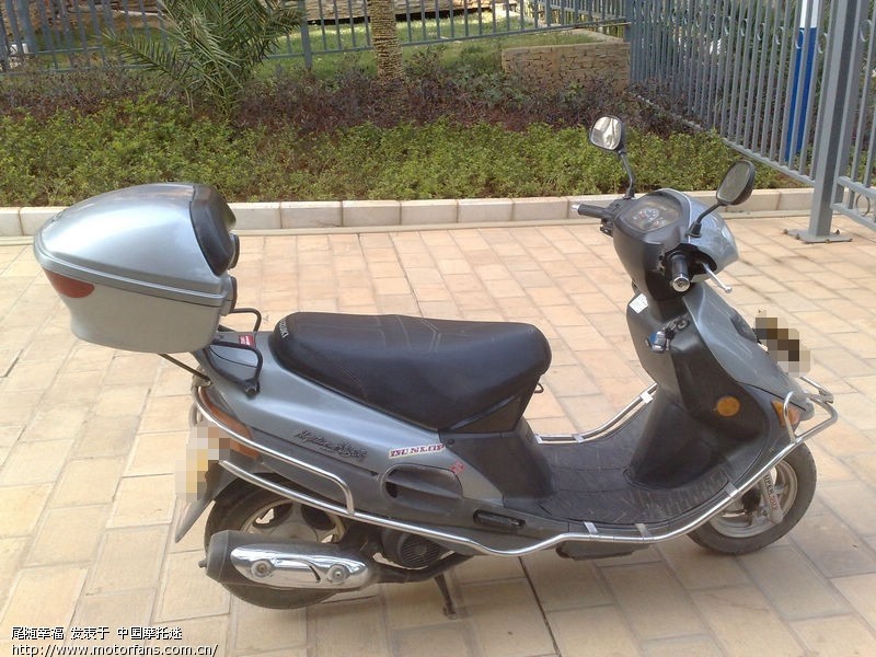 老款海王星 - 踏板论坛 - 铃木踏板摩托 - 摩托车