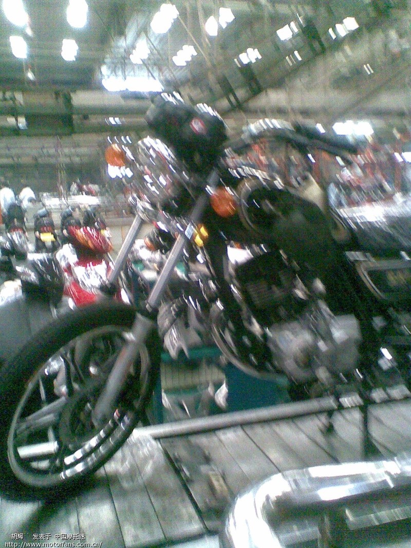 咨询下大家金太子的情况!