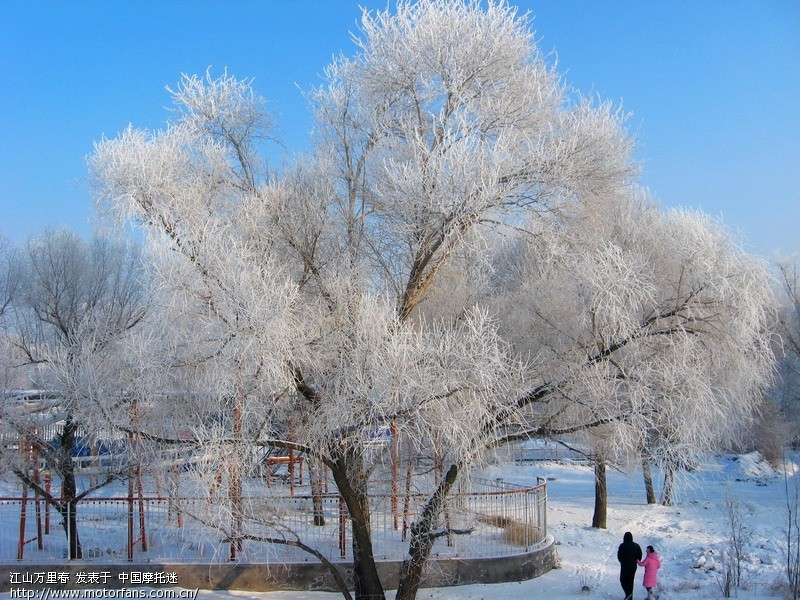 2010年1月9日薄雾 - 吉林摩友交流区 - 摩托车论