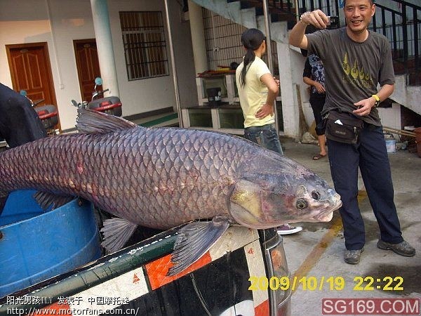 阳春大河水库--钓鲤 - 广东摩友交流区 - 摩托车
