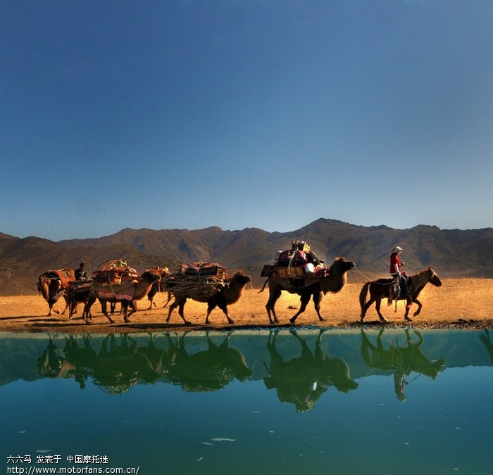 欣赏一组牧民转场照片(转)猜猜这是什么地方?