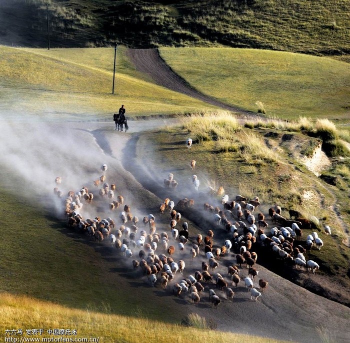 欣赏一组牧民转场照片(转)猜猜这是什么地方?