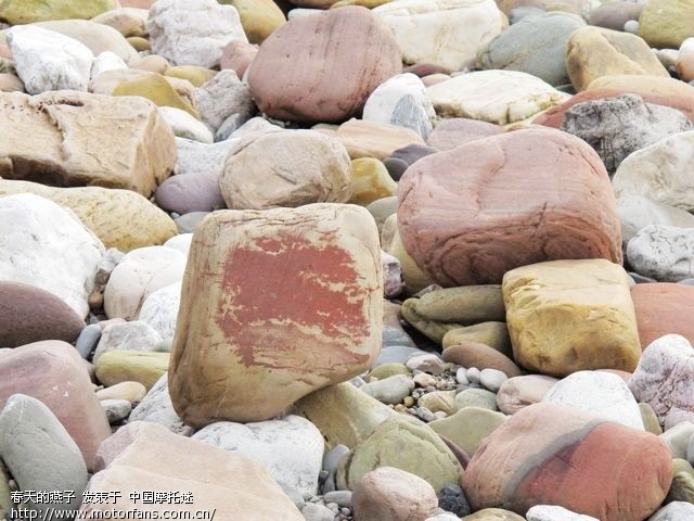 走,跟我捡美食去!-湖南摩友交流区-摩托车论苏北灌云宝贝图片